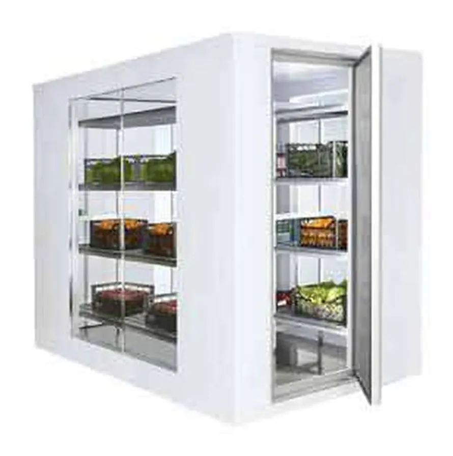 غرفة تبريد للأغذية بجوانب زجاجية RG31 — الثلاجات والغرف الباردة